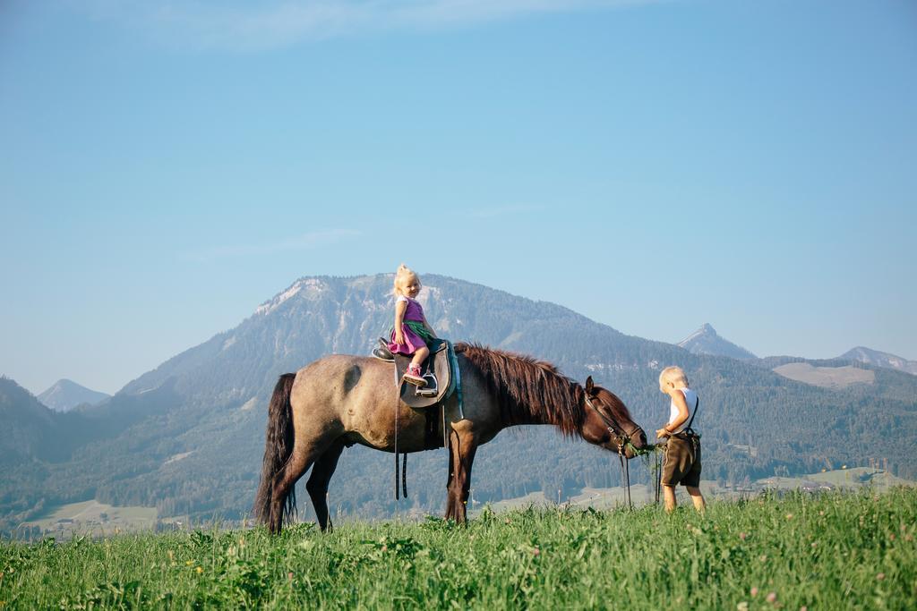 Apartmán Reiter- Und Feriengut Suassbauer Saint Wolfgang Exteriér fotografie