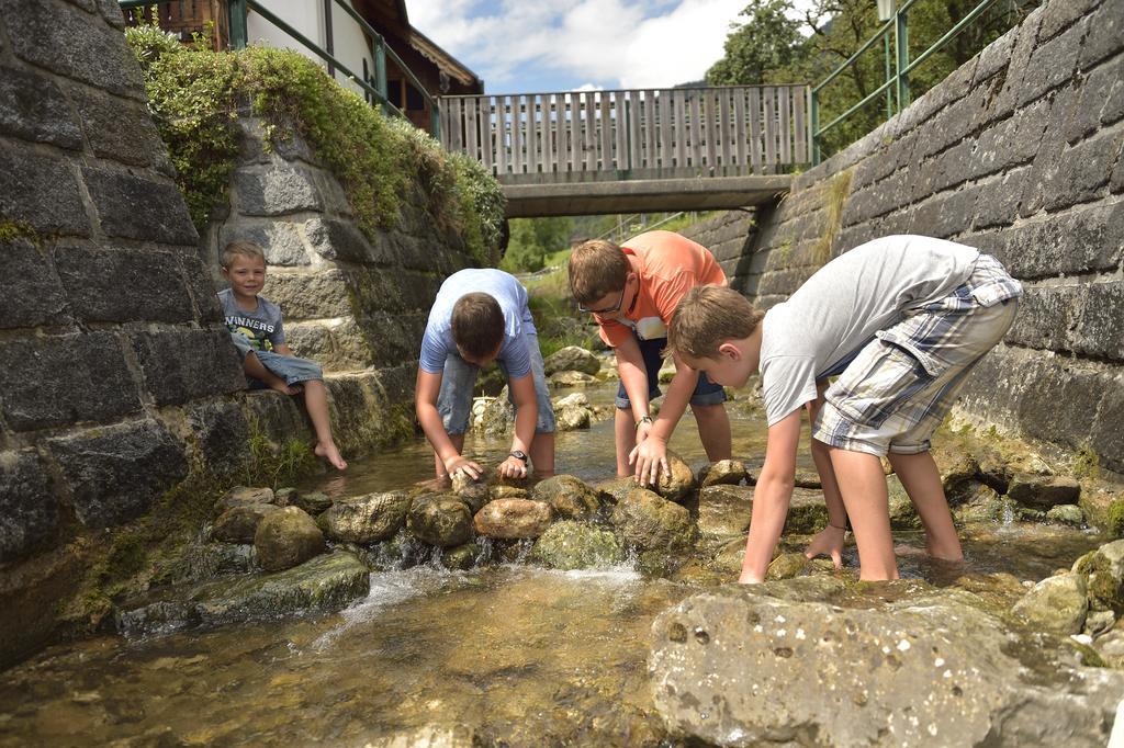 Apartmán Reiter- Und Feriengut Suassbauer Saint Wolfgang Exteriér fotografie